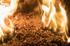 The report into the cash-for-ash scandal is to be published today