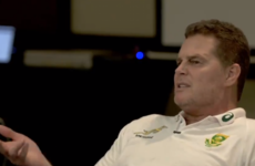 Rassie's riveting clips an invaluable insight into pre-World Cup prep