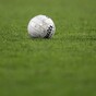 Messages from 'worried members' prompts Dublin LGFA plea to not organise training sessions