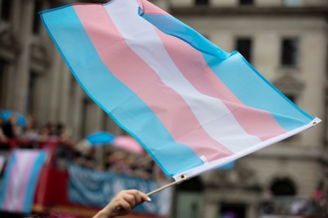 Stock image of the trans flag.
