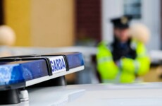 Two men arrested after shots fired at house in Cork