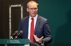 Irish people travelling abroad should return 'as soon as possible', Coveney advises