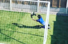 Schmeichel and De Gea praise young Irish goalkeeper training out his back garden
