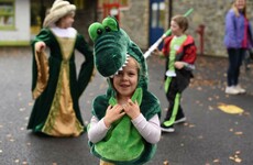 Barretstown charity launches online platform to support seriously ill children