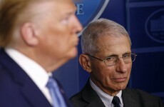 'Where's Fauci?': The United States' disease expert returns to TV after tensions with Trump