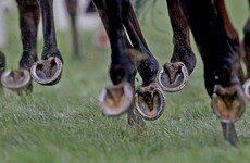 Cork Racecourse set to be used as coronavirus test centre from Thursday onwards