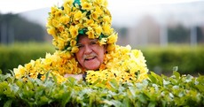 Daff Man has a brand new suit - but you might not get to see it out and about for a while