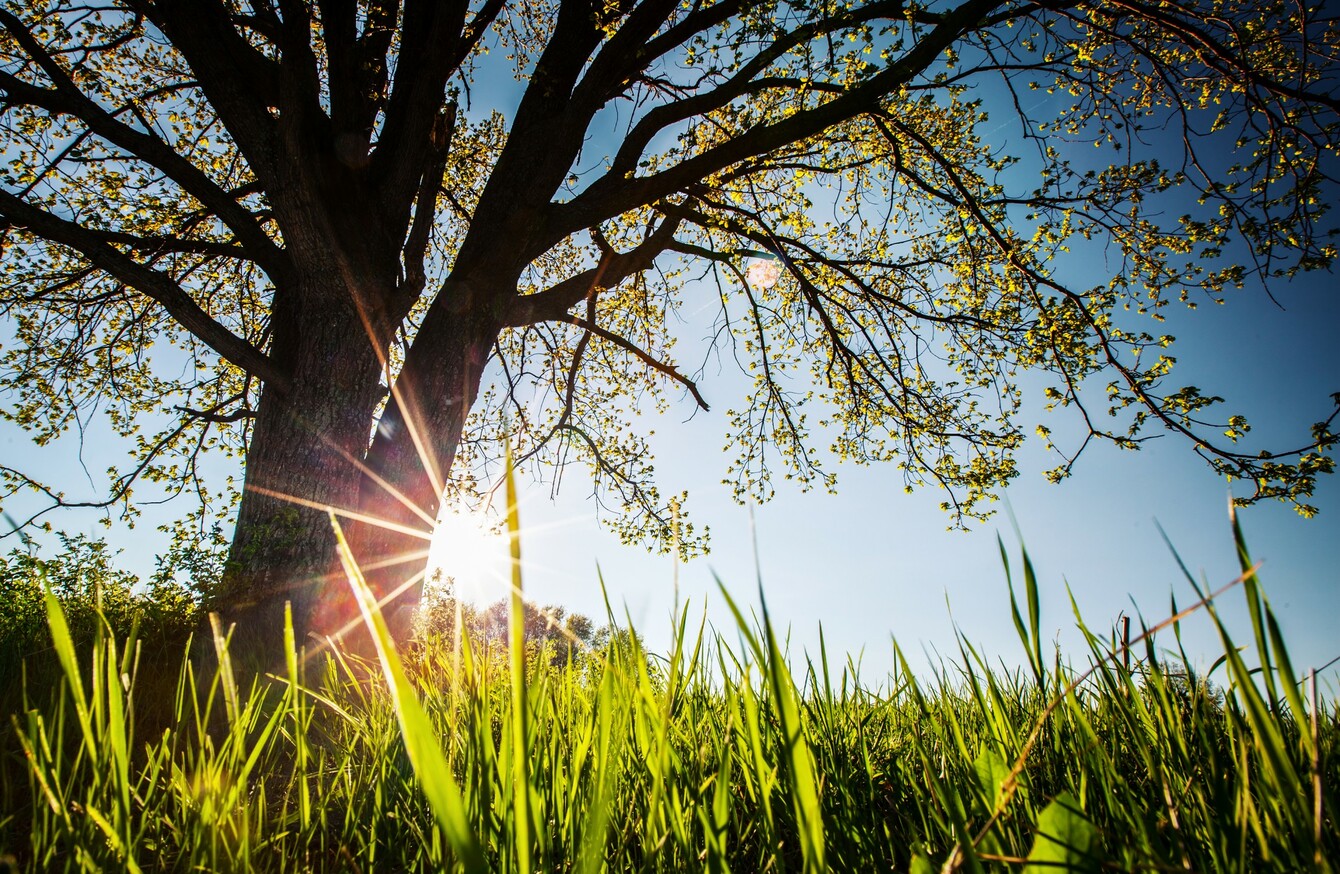 Mostly Sunny But Cold Weather Expected This Weekend As People Told To Stay At Home