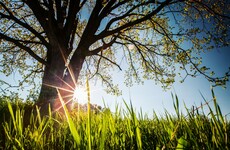 Mostly sunny but cold weather expected this weekend as people told to stay at home