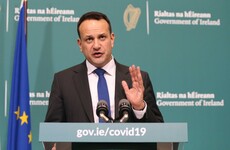 Private hospitals to be leased for use as public hospitals for duration of Covid-19 crisis