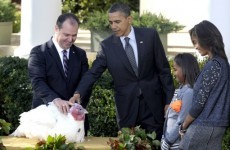 Obama thanks God, pardons two turkeys, eats sweet potato pie