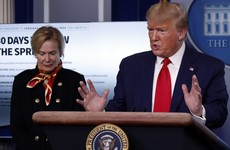 Trump warns Americans of 'hell of a bad two weeks' ahead as up to 240,000 US deaths projected from Covid-19