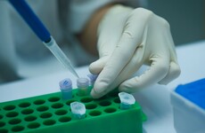 HSE in discussions with Irish pharma companies about 'ramping up' reagent production