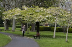 Mainly dry week in prospect with temperatures touching 17 degrees on Thursday