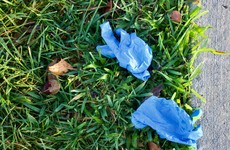 Galway and Waterford city councils ask the public to stop throwing plastic gloves on the ground