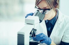 Belfast researchers launch clinical trial for Covid-19 patients using umbilical cord cells