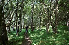 80% fall in visitors to Coillte forests, as public told to avoid scenic sites outside their zone