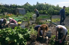 'The future of food is local'. Dave Whelan of the Edible Landscape Project says now is the time for us to make the change