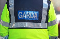 Skeletal human remains found at south Dublin site