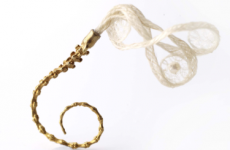 Horsehair and rodent bones inspire Irish jewellery designer