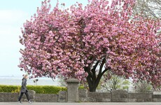 Here's What Happened Today: Easter Monday