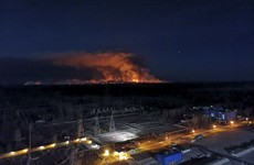 Fires put out in Chernobyl exclusion zone
