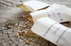 Your evening longread: Meet the farmer saving the world's rarest heirloom seeds