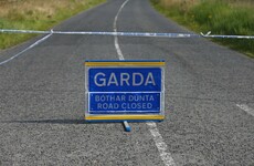 Man in his 30s dies after being hit by car on M1 motorway