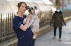 Dogs Trust offers temporary foster care scheme for frontline healthcare workers' dogs during pandemic