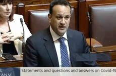 'National catastrophe': Taoiseach told nursing homes have been 'left behind'