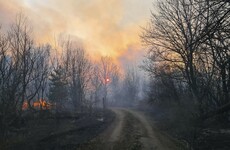 New wildfires start in Chernobyl evacuation zone