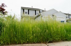 'They won't be able to cut the grass in a few weeks': Calls for landscapers to be made essential workers