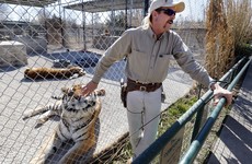 'If Tiger King did one thing, it turned the spotlight on the exotic pet industry'