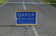 Man dies and woman seriously injured in Wexford crash