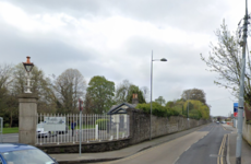 Man (20s) arrested over burglaries after early morning foot chase by gardaí