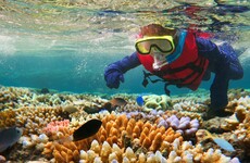Your evening longread: New realisations about the incredible Great Barrier Reef
