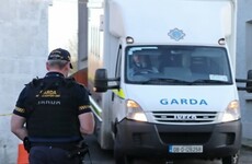 Men charged over Kevin Lunney abduction granted bail after video-link hearing from Portlaoise Prison
