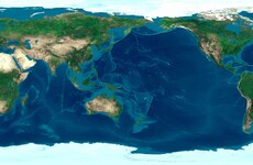 'This pandemic is nothing compared to what climate change has in store'