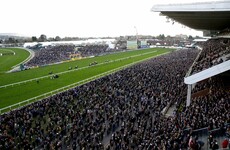 Irish horse racing chief says Cheltenham festival should probably not have taken place