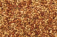 Batch of True Natural Goodness seed packs recalled due presence of glass fragments