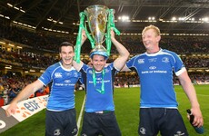 Leinster and Ireland back Fergus McFadden to retire when the season ends