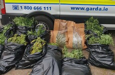 Man arrested after gardaí seize cannabis worth €165,000 in Wexford