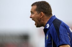 Eamon Gilmore targets Waterford manager Davy Fitzgerald for Labour election ticket