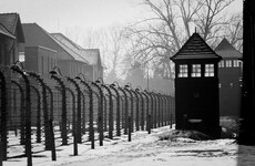 Your evening longread: A man's quest to save the music of the Holocaust