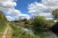 Investigation after animal carcass left to rot on popular canal walkway in Dublin
