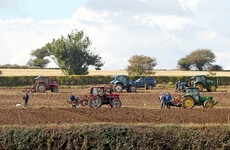 This year's National Ploughing Championships have been cancelled