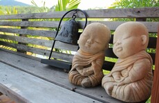 Wellness Wednesday: Gardening can cultivate calm and resilience in any crisis