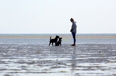 This week's weather is looking good with dry and settled weather forecast