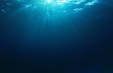Your evening longread: Meet the record-breaking undersea explorers