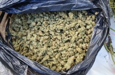 Three men arrested after €100,000 cannabis seizure in Co Offaly
